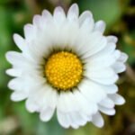 Profilbild von jetzt